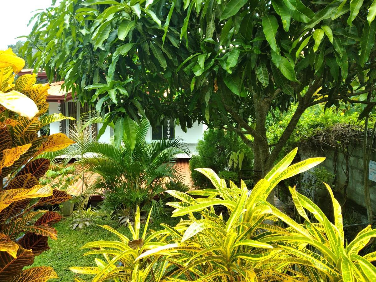 Sandhara Home Stay Tangalle Exterior foto